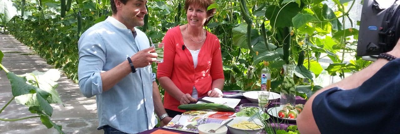 hedy willems tv hedy willems tv