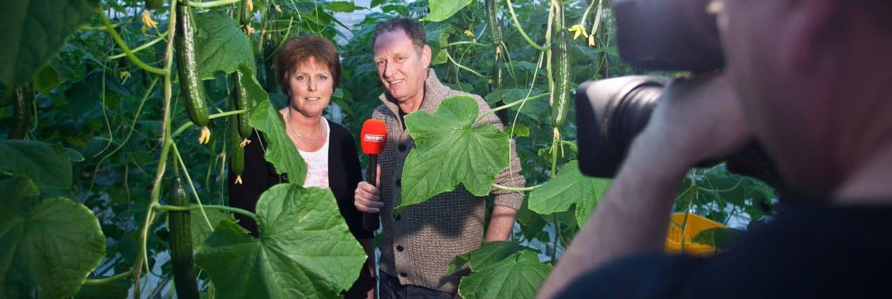 piet paulusma komkommers piet paulusma komkommers